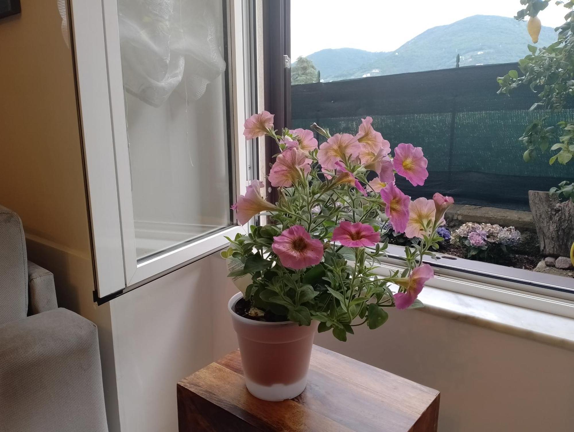 Apartamento Casa Veve' La Spezia Exterior foto